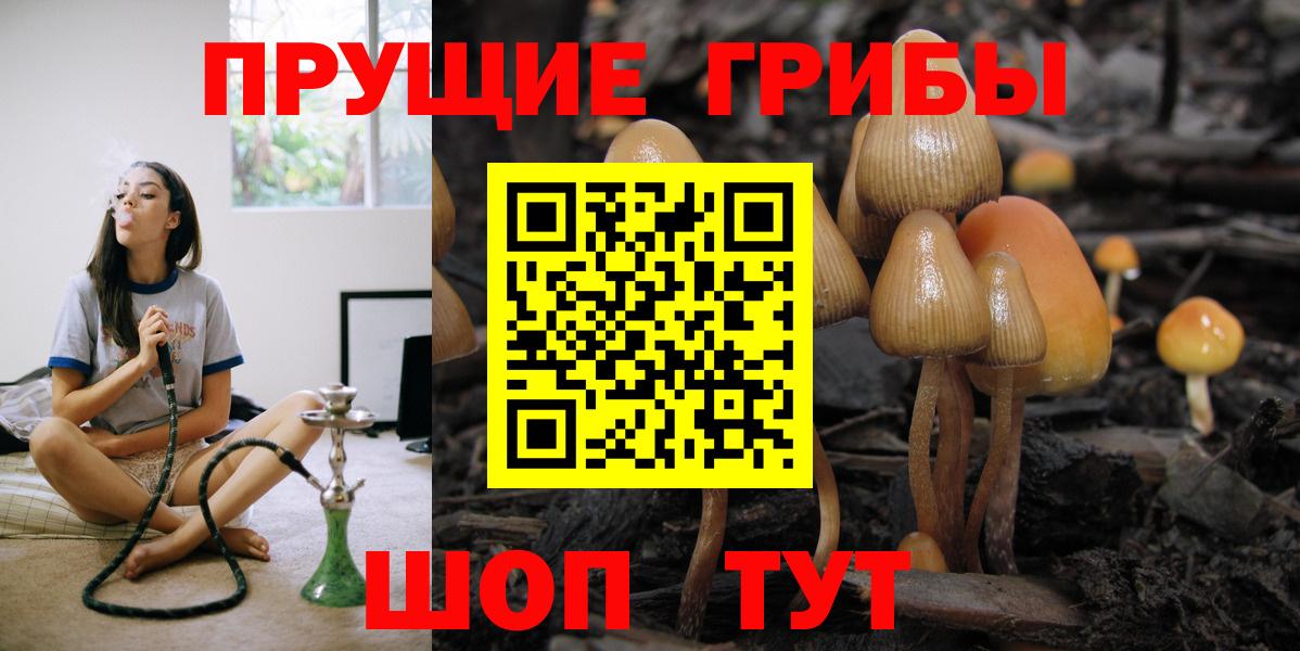Псилоцибиновые грибы Psilocybine cubensis  Вход с VPN  Еманжелинск 